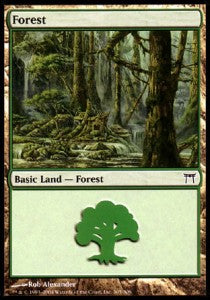 Forest (V.3) - Champions of Kamigawa (Land) [CHK-305]