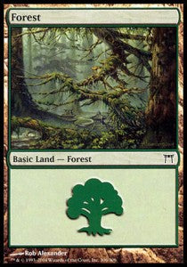 Forest (V.4) - Champions of Kamigawa (Land) [CHK-306]