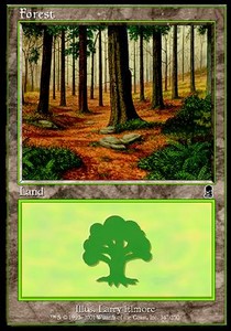 Forest (V.1) - Odyssey (Land) [ODY-347]
